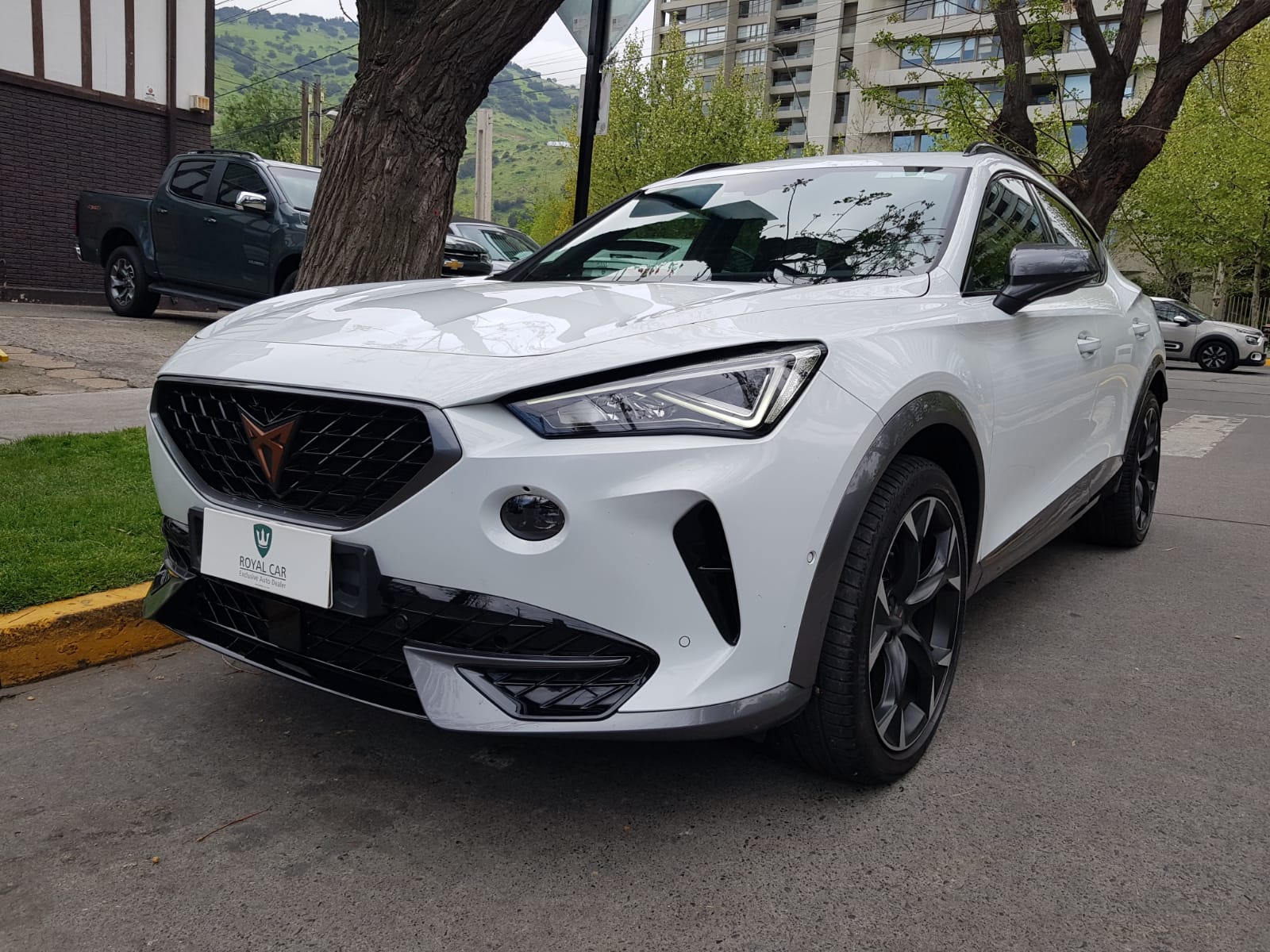 1 Cupra Formentor VZ 2.0 TSI AT 4Drive